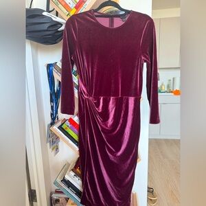 Banana Republic Women’s velvet dress
